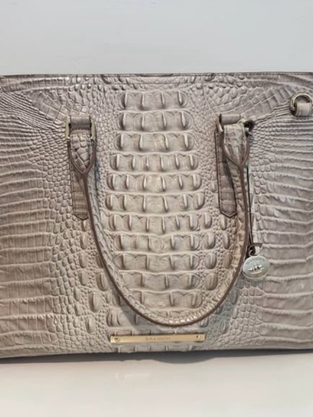 Brahmin - Picture 4 of 5